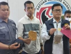 Macan Komering Ringkus Ardi Anto Alias Bujuk