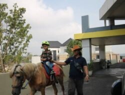 ASTON Palembang provides interesting activities, free horse riding for children every Sunday