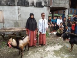 Cahaya Burhan Kurban Kambing