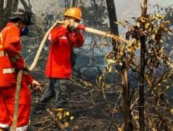 Dua Titik Panas Membara di Banyuasin